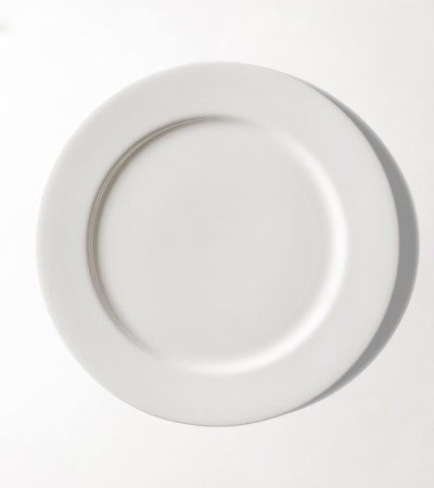 Solaria Flat Plate