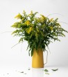 Diario| Giallo