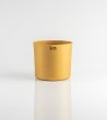 Champagne Cooler | Gold